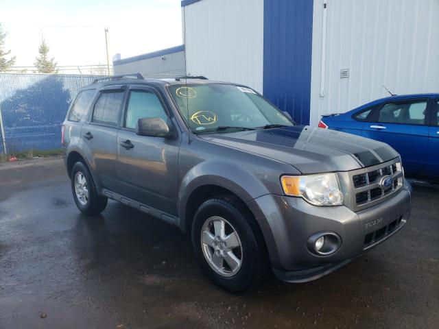 Ford Escape xlt (2011)