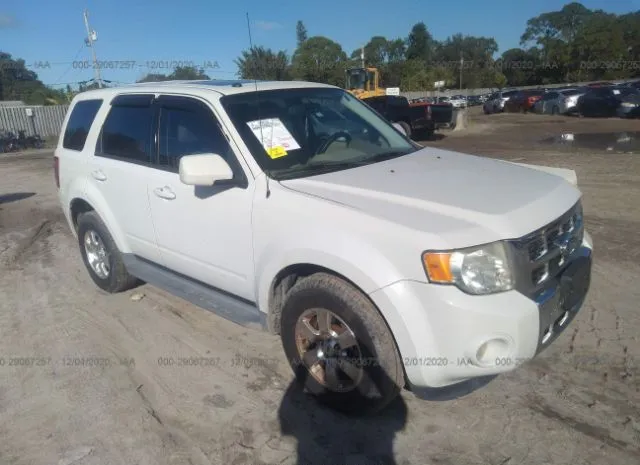 Ford Escape (2011)