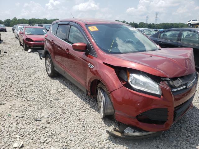 Ford Escape se (2014)