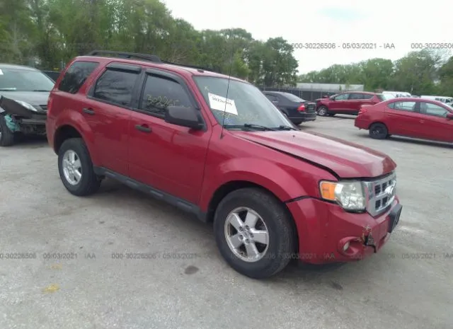 Ford Escape (2010)