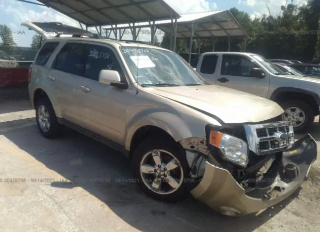 Ford Escape (2011)