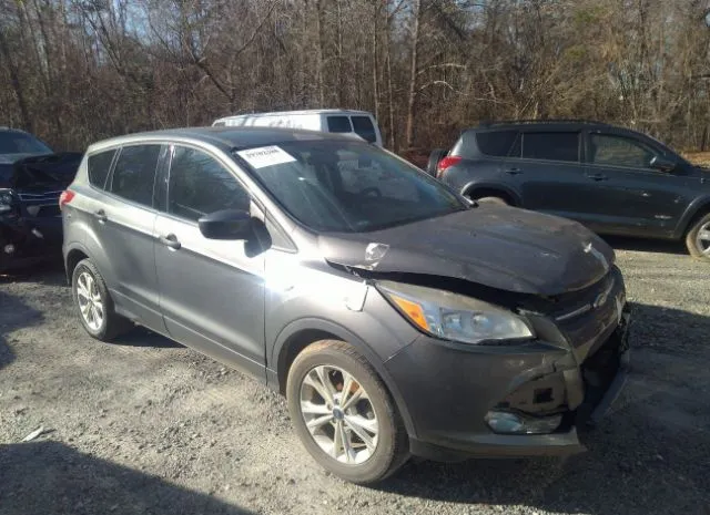 Ford Escape (2014)