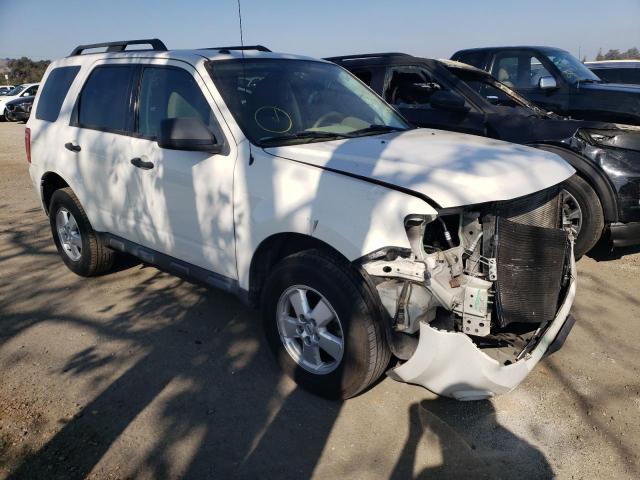 Ford Escape xlt (2010)