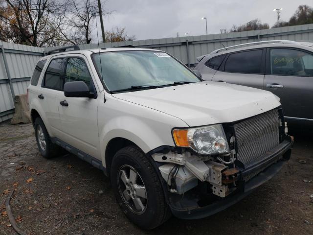 Ford Escape xlt (2010)