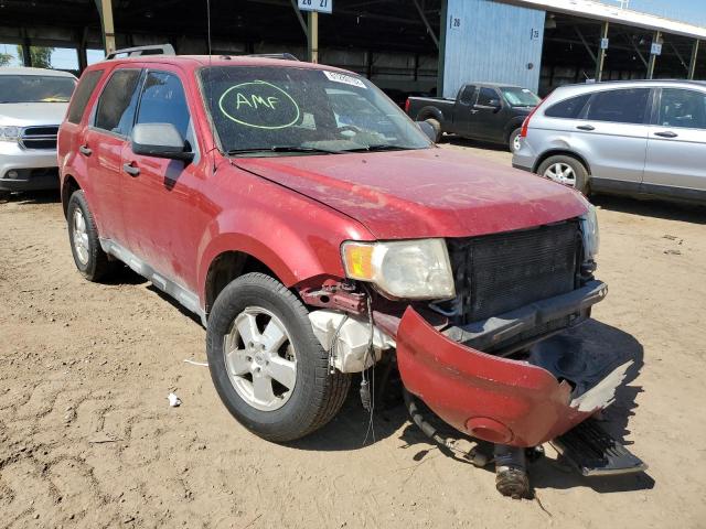 Ford Escape xlt (2011)