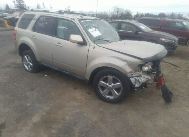 Ford Escape (2012)