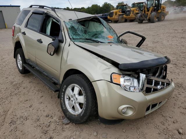 Ford Escape xlt (2010)
