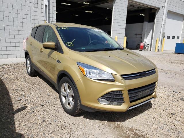 Ford Escape se (2014)