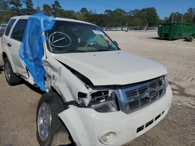 Ford Escape xlt (2011)