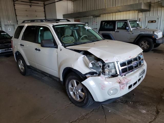 Ford Escape xlt (2010)