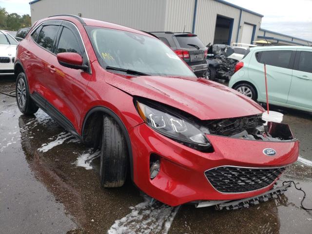 Ford Escape sel (2020)