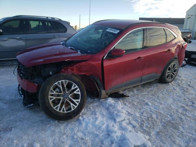 Ford Escape sel (2020)