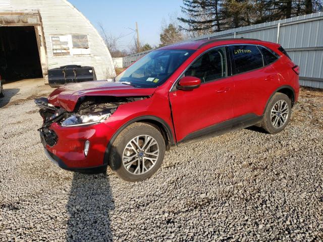 Ford Escape sel (2020)