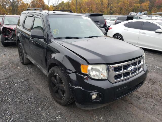Ford Escape xlt (2011)
