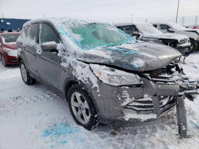 Ford Escape se (2014)