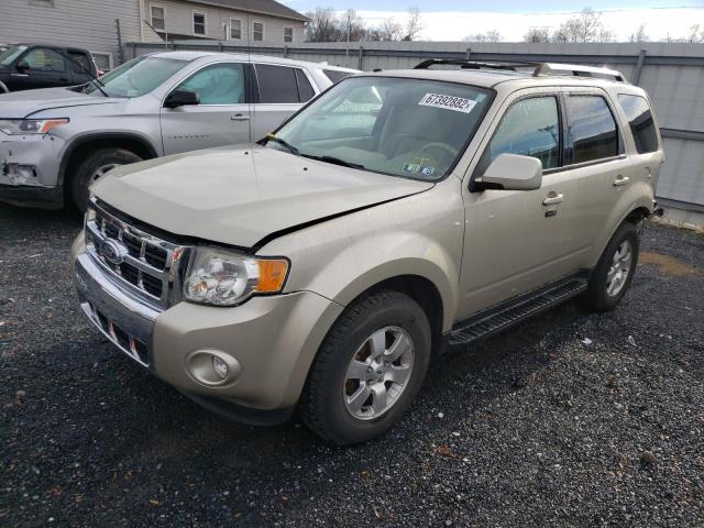 Ford Escape xlt (2010)