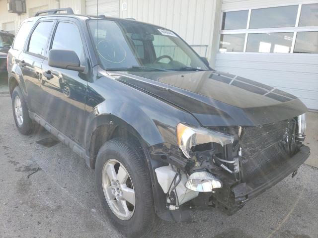 Ford Escape xlt (2011)