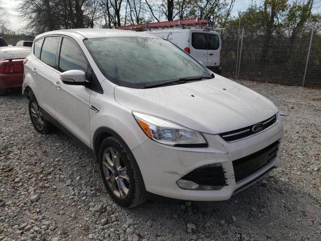 Ford Escape sel (2013)