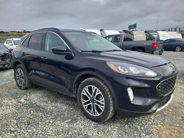 Ford Escape sel (2020)