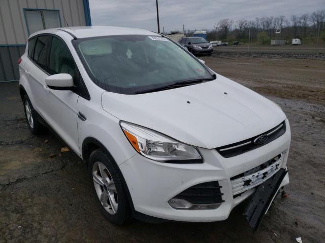Ford Escape se (2014)