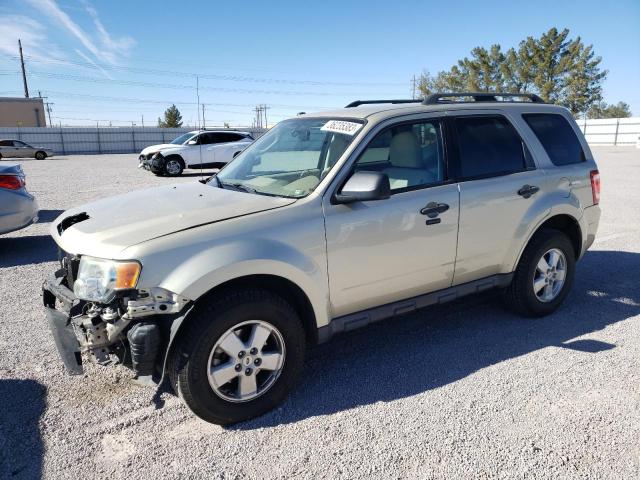 Ford Escape xlt (2010)