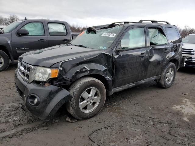 Ford Escape xlt (2010)