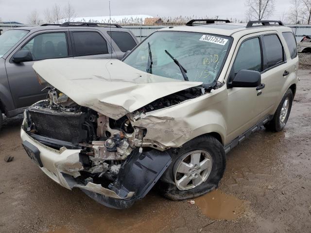 Ford Escape xlt (2011)