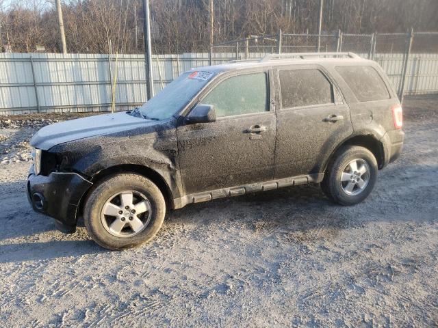 Ford Escape xlt (2011)