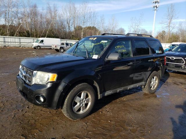 Ford Escape xlt (2011)