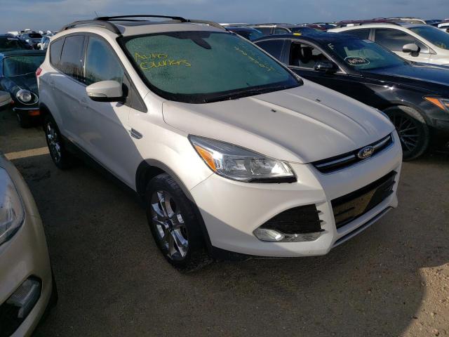 Ford Escape sel (2013)
