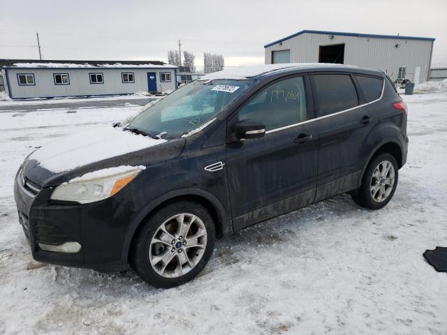 Ford Escape sel (2013)