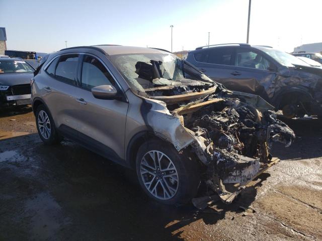 Ford Escape sel (2020)