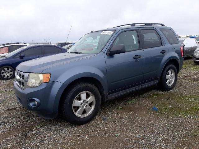 Ford Escape xlt (2010)