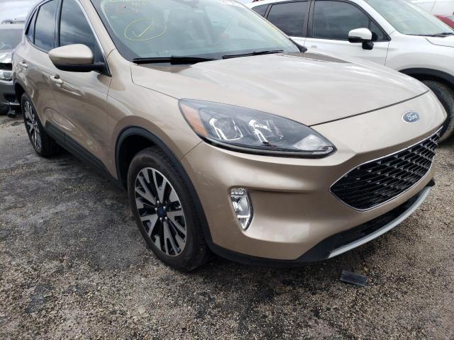 Ford Escape sel (2020)