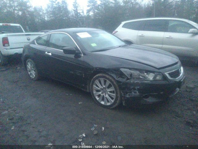 Honda Accord cpe (2010)