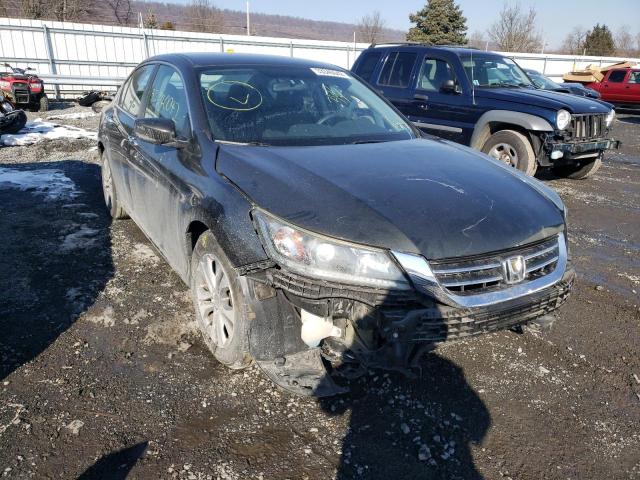Honda Accord lx (2013)
