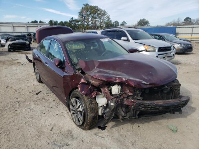 Honda Accord lx (2013)