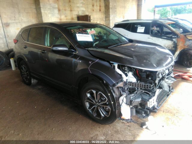 Honda Cr-v hybrid (2022)