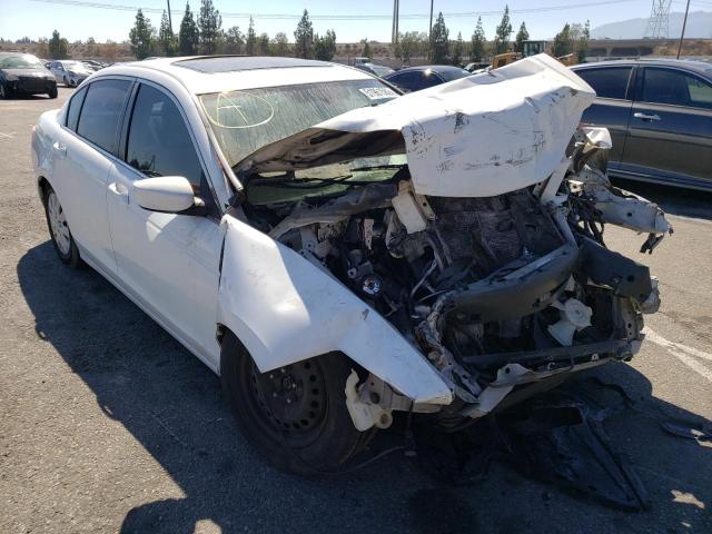Honda Accord lx (2010)