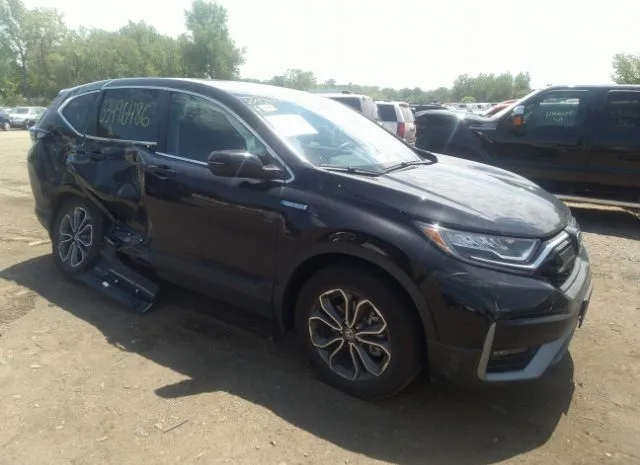 Honda Cr-v hybrid (2021)