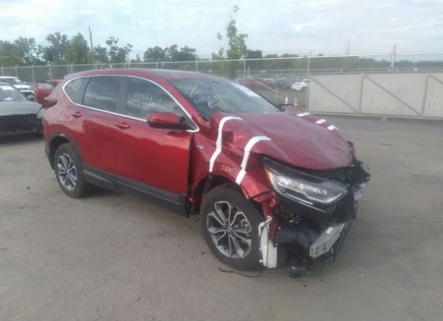 Honda Cr-v hybrid (2022)