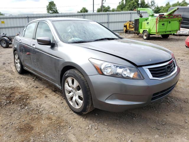 Honda Accord lx (2010)