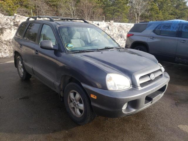 Hyundai Santa fe g (2006)