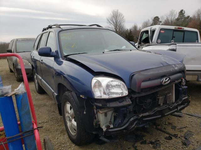 Hyundai Santa fe g (2006)