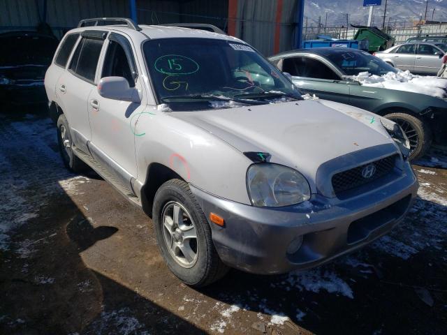 Hyundai Santa fe g (2004)