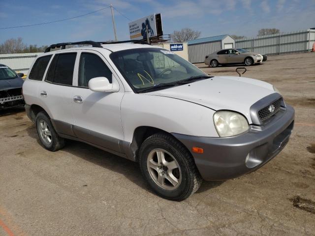 Hyundai Santa fe g (2004)