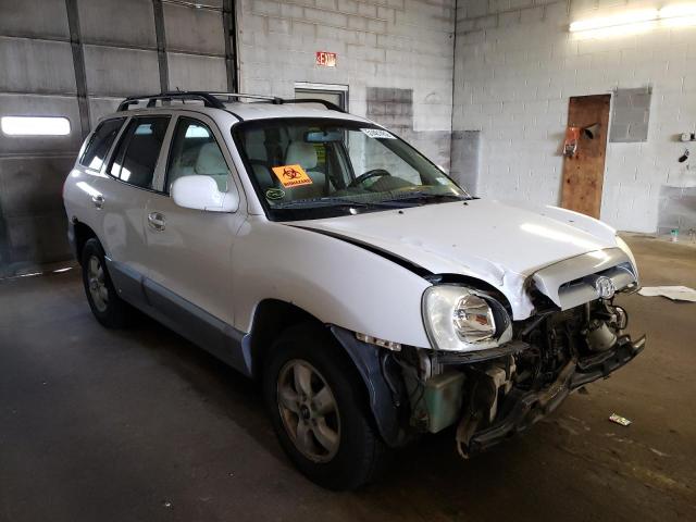 Hyundai Santa fe g (2005)