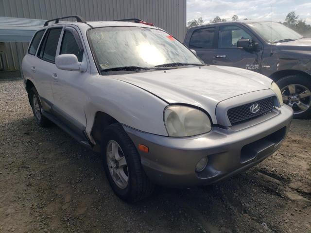 Hyundai Santa fe g (2004)