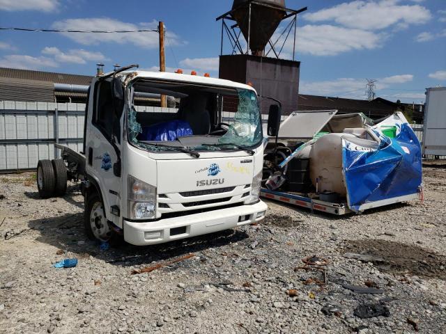 Isuzu Npr hd (2019)