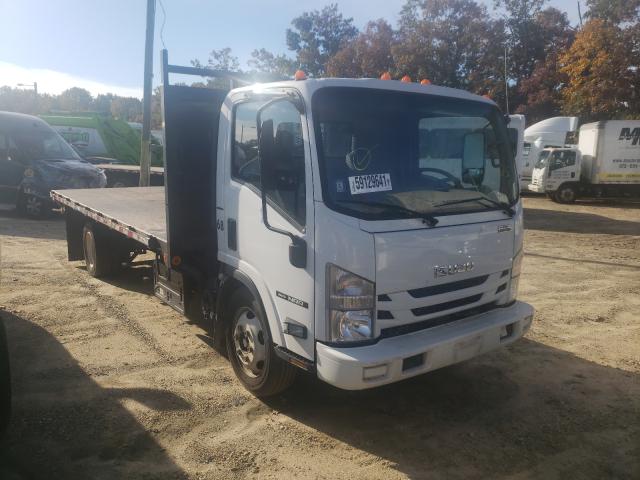 Isuzu Nqr (2017)